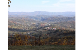 Fotografii din comună